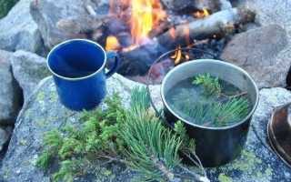 Энергетический напиток из хвои от бессонницы, депрессии и хронической усталости