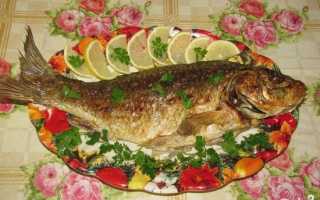 Всего 1 сазан, а рецептов простого и вкусного ужина аж 12