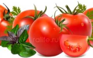 Применение базилика в кулинарии