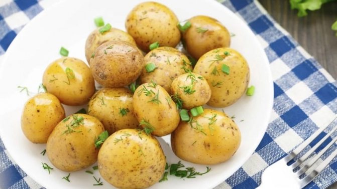 Польза и вред вареного картофеля для организма человека