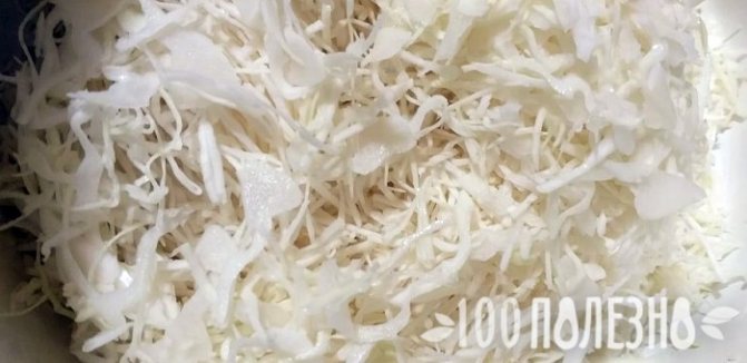рубленая капуста белокочанная
